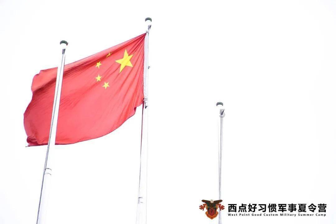 袋鼠兄弟2
