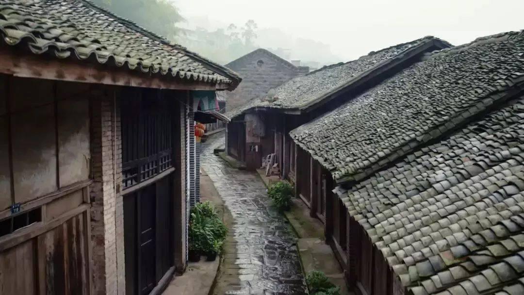 吃星星的恐龙男孩